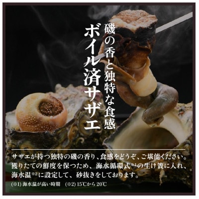 大人気!ボイルサザエ(4～6個)& 越前甘えび(卵なし大サイズ1箱)セット