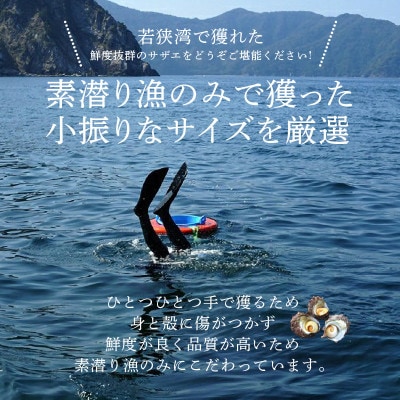 大人気!ボイルサザエ(4～6個)& 越前甘えび(卵なし大サイズ1箱)セット