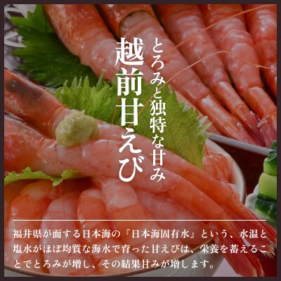 大人気!ボイルサザエ(4～6個)& 越前甘えび(卵なし大サイズ1箱)セット
