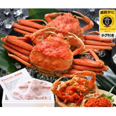 ≪冷凍≫　漁期に獲れた越前セイコガニを茹でてそのまま-60℃で急速冷凍しました!　3杯お届けします★