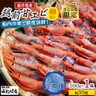 【2ヵ月毎定期便】【さとふる限定】大好評!越前甘えび【卵あり大サイズ】約30尾/1箱 全3回