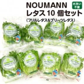 NOUMANNレタス10個セット