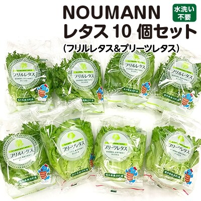 NOUMANNレタス10個セット