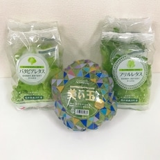 NOUMANNレタス基本セット