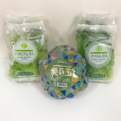 NOUMANNレタス基本セット | ふるさと納税のお礼品