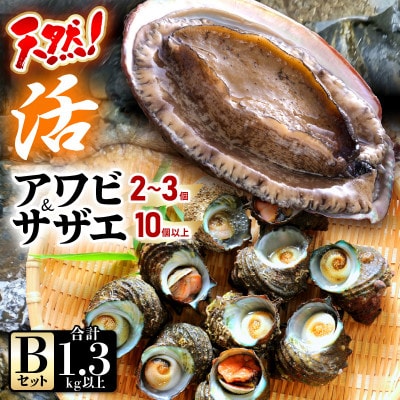 天然!活アワビ、活サザエセットB