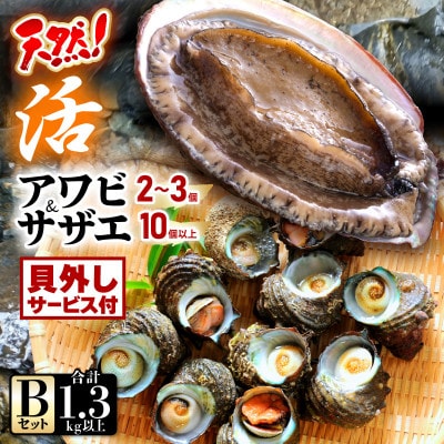 天然!活アワビ、活サザエセット(貝はずしサービス付き)B