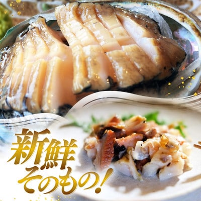 天然!活アワビ、活サザエセット(貝はずしサービス付き)B