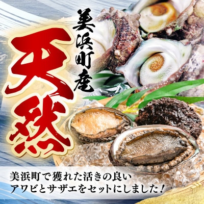 天然極上特大アワビ、特大サザエセットA