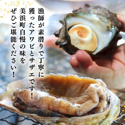 天然極上特大アワビ、特大サザエセットA