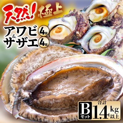 天然極上特大アワビ、特大サザエセットB　