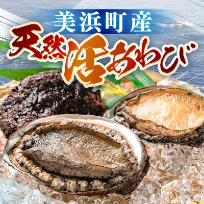 天然活アワビ大中オスメスセット