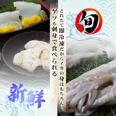 新鮮で便利!旬のアオリイカ　刺身用開き5枚　約800g(冷凍)