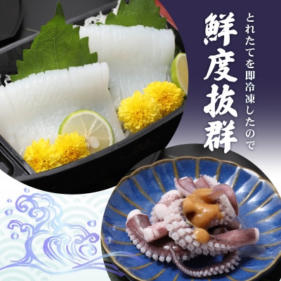 新鮮で便利!旬のアオリイカ　刺身用開き5枚　約800g(冷凍)