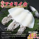 新鮮で便利!旬のアオリイカ　刺身用開き大3枚　約1.3kg(冷凍)