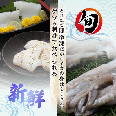 新鮮で便利!旬のアオリイカ　刺身用開き大3枚　約1.3kg(冷凍)