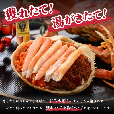 全て地物!冬の味覚　旬のセイコガニ小(6匹 計約600g以上)食べ方カラー説明書付き