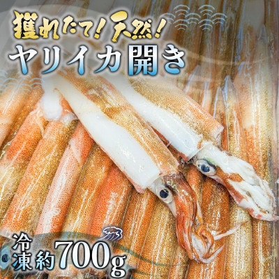 獲れたて剣先イカ(ヤリイカ)の開き約700g