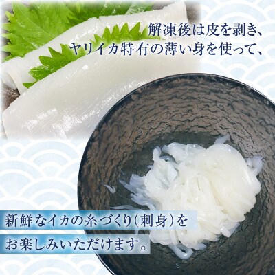 獲れたて剣先イカ(ヤリイカ)の開き約700g
