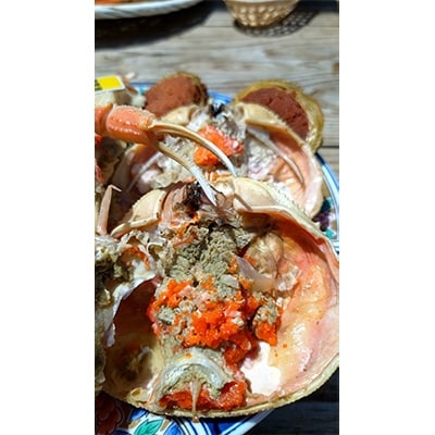全て地物!冬の味覚　旬の中セイコガニ(湯がきたて)