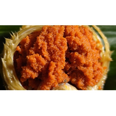 ＜冷蔵でお届け＞食べ切数量!全て地物!冬の味覚　旬のセイコガニ(3匹計550g)食べ方カラー説明書付