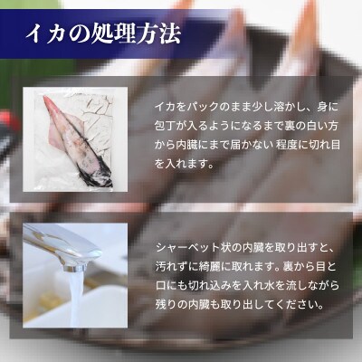 【訳あり】新鮮・朝獲れ! 墨付き 天然 真イカ(剣先イカ)丸ごと 約1,000g たまり醤油付き