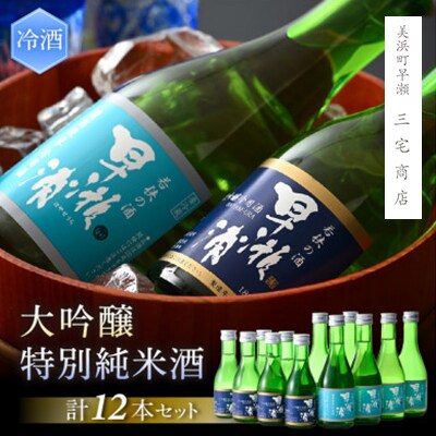 早瀬浦大吟醸(冷酒)180ml6本と特別純米酒(冷酒)300ml6本セット