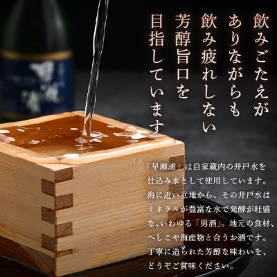 早瀬浦大吟醸(冷酒)180ml6本と特別純米酒(冷酒)300ml6本セット