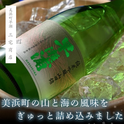 【早瀬浦】純米吟醸　山田錦720ml×2本セット