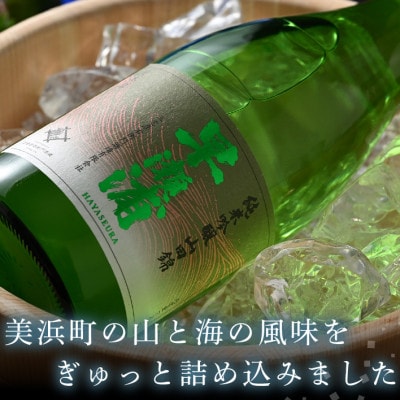 【早瀬浦】純米吟醸　山田錦720ml×2本セット
