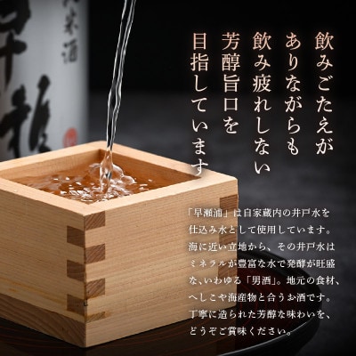 【早瀬浦】純米吟醸　山田錦720ml×2本セット
