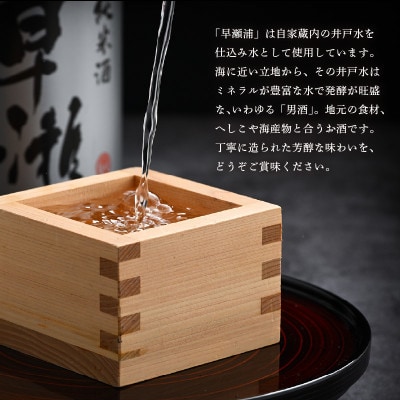 【早瀬浦】純米大吟醸　1800ml×1本　(のし無し)