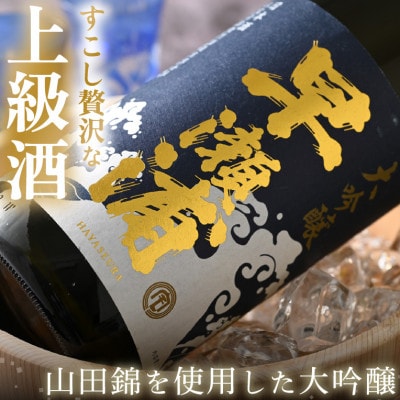 【早瀬浦】大吟醸　1800ml×1本