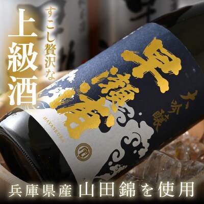 【早瀬浦】大吟醸　1800ml×6本　&　純米吟醸山田錦　1800ml×2本　セット