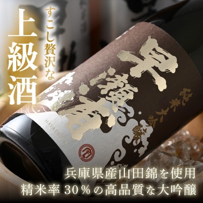【早瀬浦】純米大吟醸1800ml1本& 大吟醸1800ml×2本& 純米酒1800ml×1本　セット