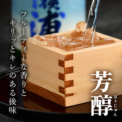 【早瀬浦】特撰吟醸酒　1800ml×1本