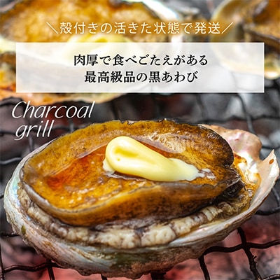 【金曜日発送】福井・若狭湾　天然活黒アワビ(中サイズ)活サザエ1.1kg