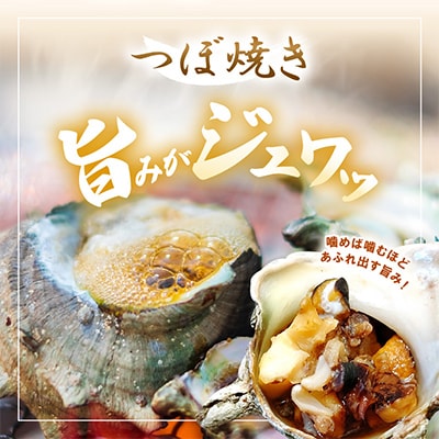 【金曜日発送】福井・若狭湾の素潜り活サザエ　700g(説明書付き)