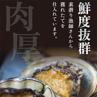 【金曜日発送】《おまかせ》若狭湾の天然活アワビ600g