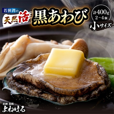 【金曜日発送】若狭湾の天然活黒アワビ400g