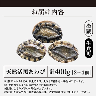【金曜日発送】若狭湾の天然活黒アワビ400g