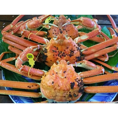 旬!自家ゆで地カニ　木金土発送(大3入)　訳あり足折れ