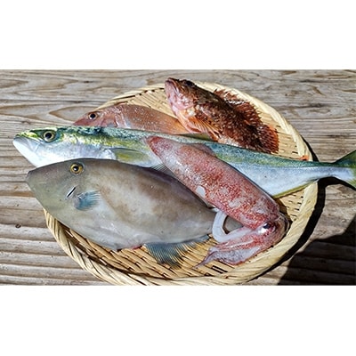 春から初夏の鮮魚セット　1.2kg