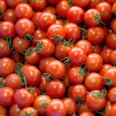 若狭のトマト『紅い鈴』詰め合わせ　4kg(ミディトマト12パック、ミニトマト6パック)