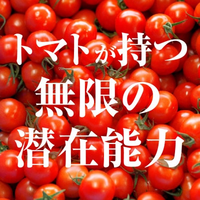 じゅわっと極旨のフルーツミディトマト 約1kg