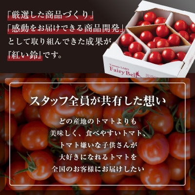 じゅわっと極旨のフルーツミディトマト 約1kg (バラ箱詰め)