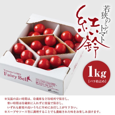 じゅわっと極旨のフルーツミディトマト 約1kg (バラ箱詰め)