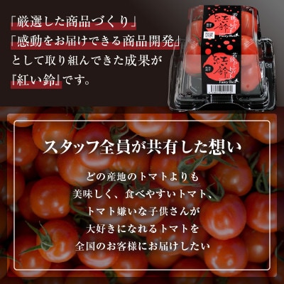 じゅわっと極旨のフルーツミディトマト 約1kg
