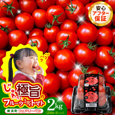 じゅわっと極旨のフルーツミディトマト 約1kg  ×2箱