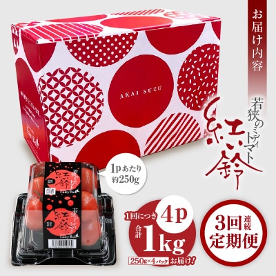 【毎月定期便】じゅわっと極旨のフルーツミディトマト 約1kg 全3回